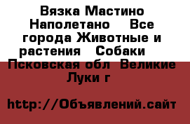 Вязка Мастино Наполетано  - Все города Животные и растения » Собаки   . Псковская обл.,Великие Луки г.